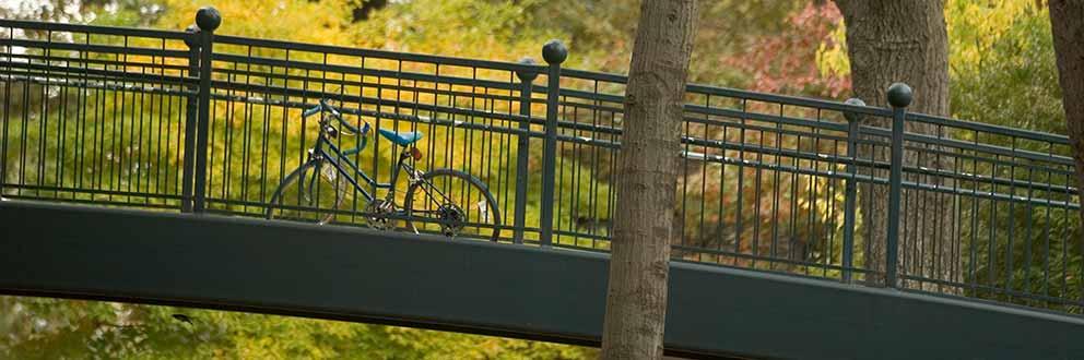 自行车停在人行桥上，背景是树